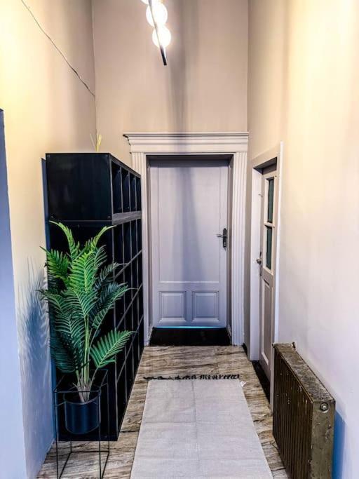 Ferienwohnung Cozy & Charming Apt. Downtown Timişoara Exterior foto