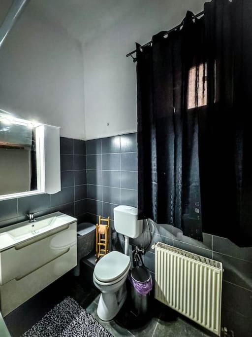 Ferienwohnung Cozy & Charming Apt. Downtown Timişoara Exterior foto